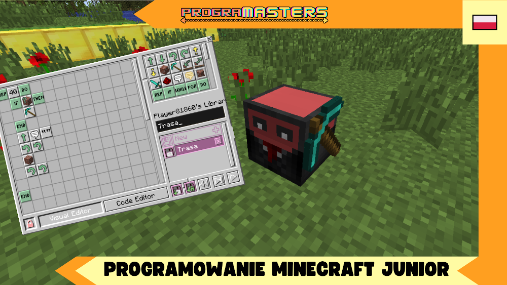 Grafika zajęć 'Programowanie w Minecraft Junior'